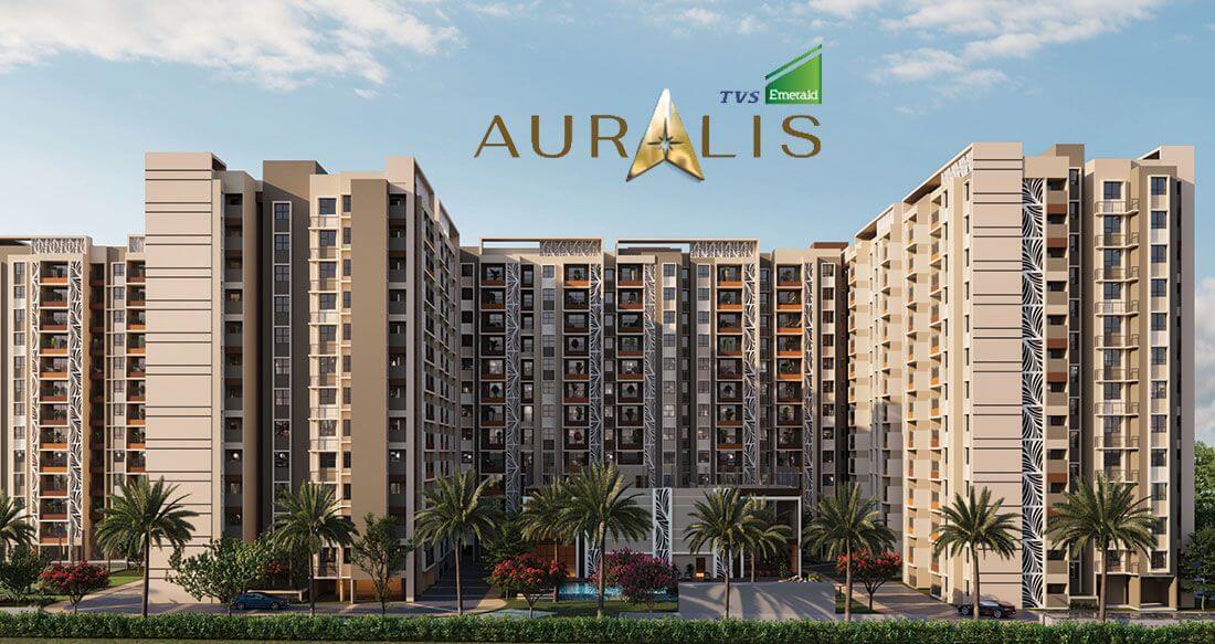 main tvs emerald auralis
